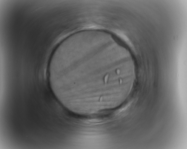 X0000088151173200706041349