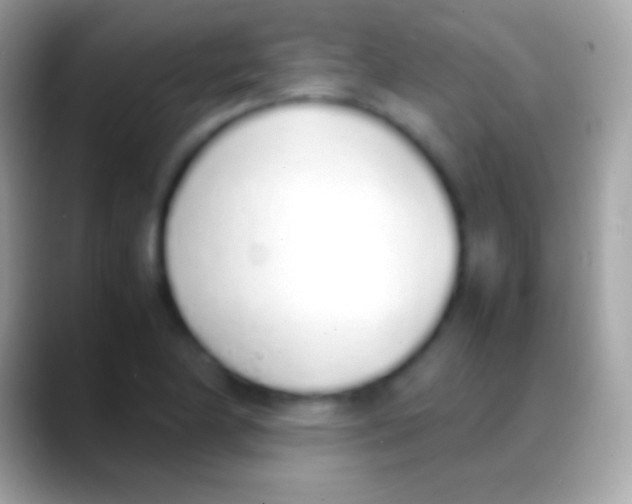 X0000088151174200706041349