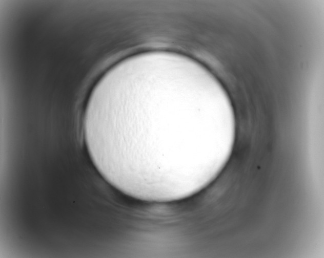 X0000088151175200706041349