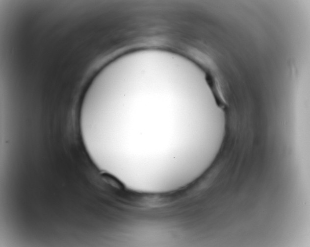 X0000088151176200706041349