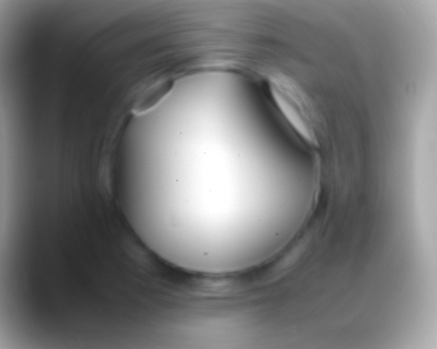 X0000088151177200706041349