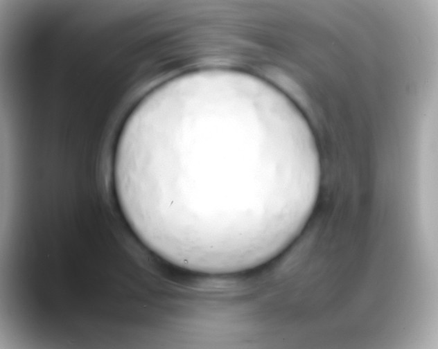 X0000088151179200706041349