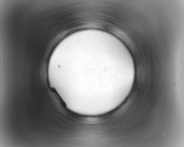 X0000088151180200706041349