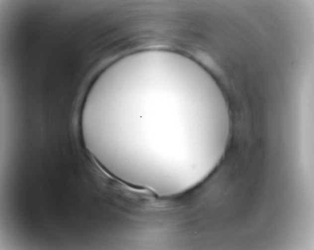 X0000088151181200706041349