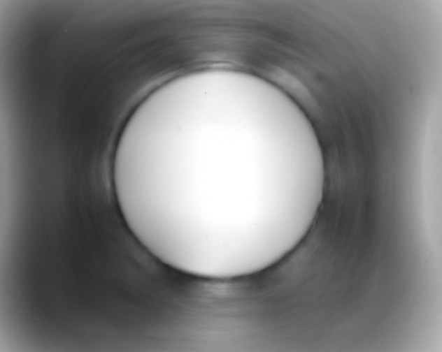 X0000088151182200706041349