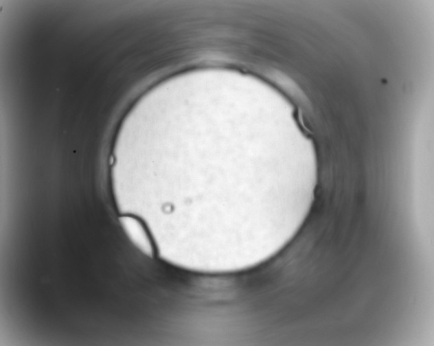 X0000088151183200706041349