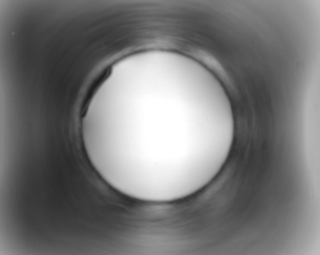 X0000088151184200706041349