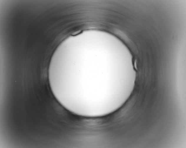 X0000088151185200706041349