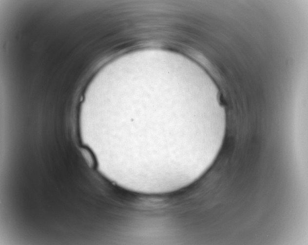 X0000088151187200706041349