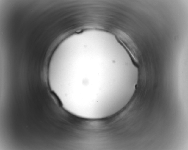 X0000088151188200706041349