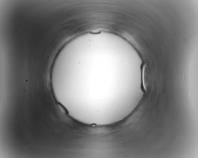 X0000088151189200706041349