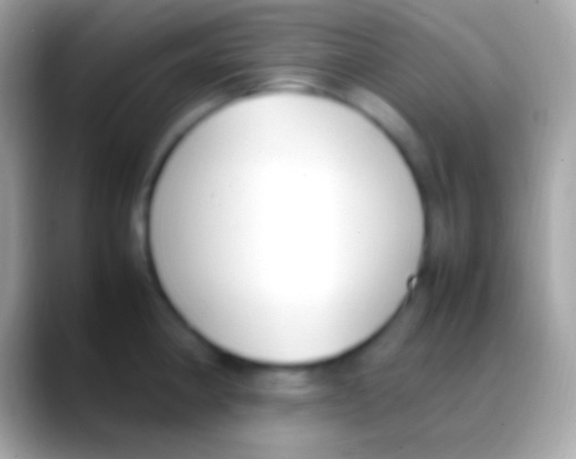 X0000088151190200706041349