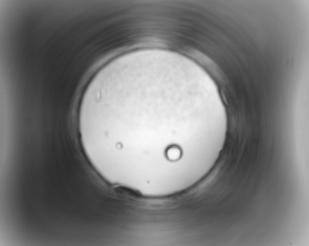 X0000088151192200706041349