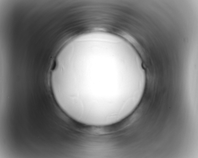 X0000088151194200706041349