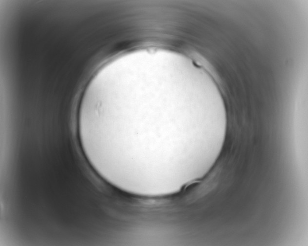 X0000088151195200706041349