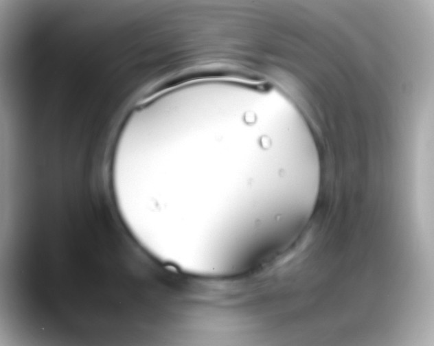 X0000088151197200706041349