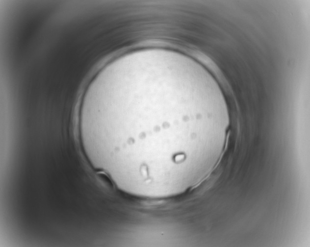 X0000088151199200706041349