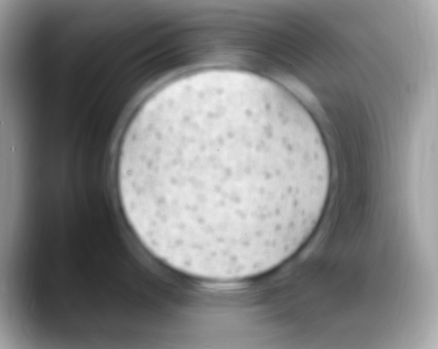 X0000088151200200706041349