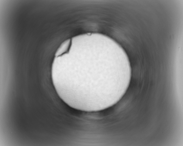 X0000088151201200706041349