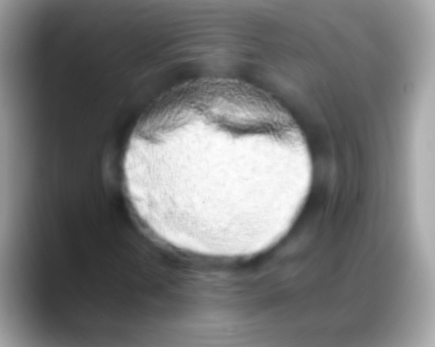 X0000088151202200706041349