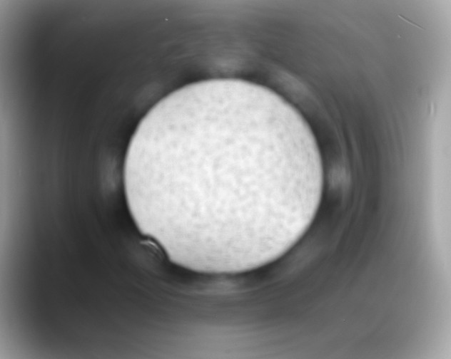 X0000088151204200706041349