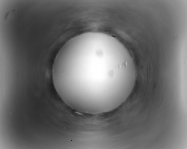 X0000088151206200706041349