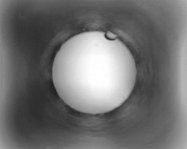 X0000088151207200706041349