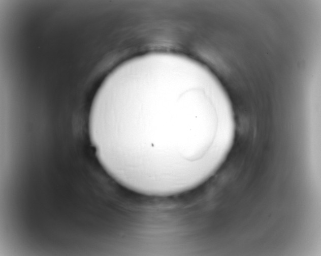 X0000088151208200706041349