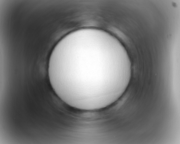 X0000088151212200706041349