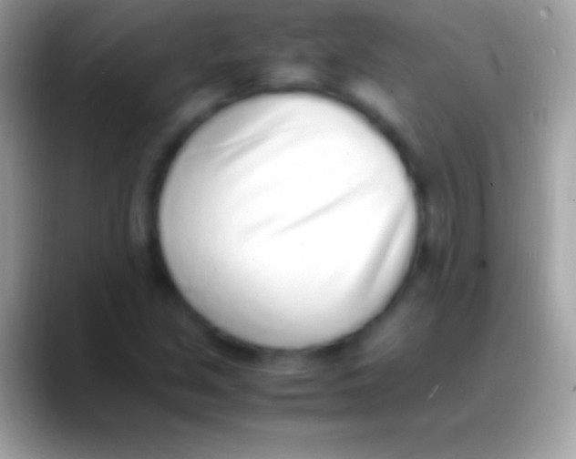 X0000088151213200706041349