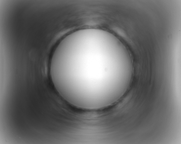 X0000088151214200706041349