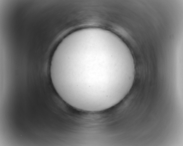 X0000088151216200706041349