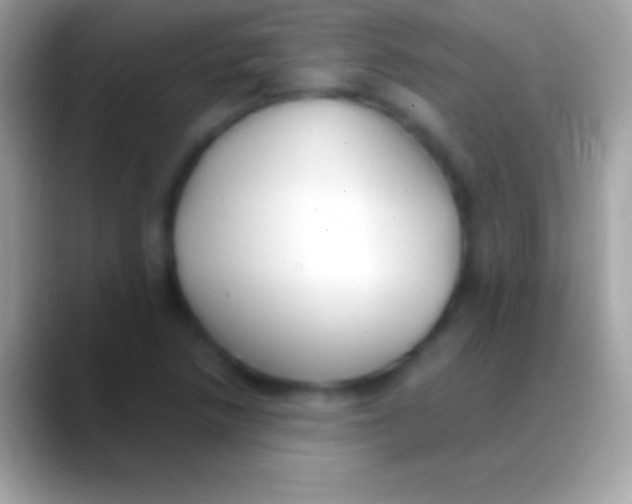 X0000088151218200706041349