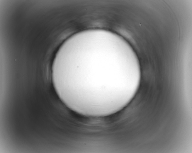 X0000088151219200706041349