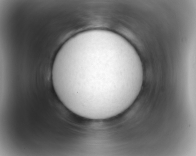 X0000088151220200706041349