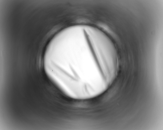 X0000088151221200706041349