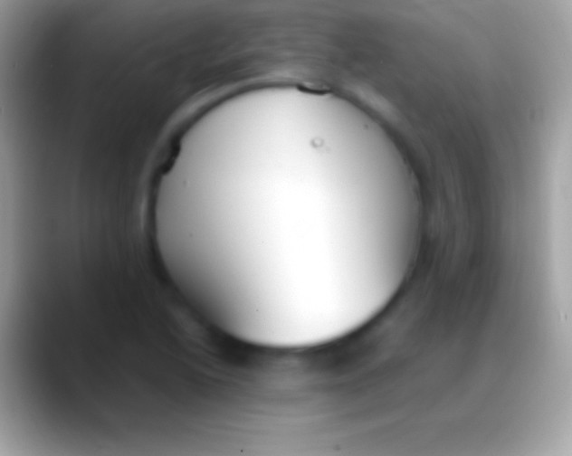 X0000088151222200706041349