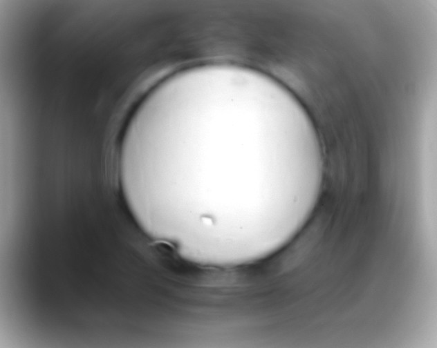 X0000088151223200706041349