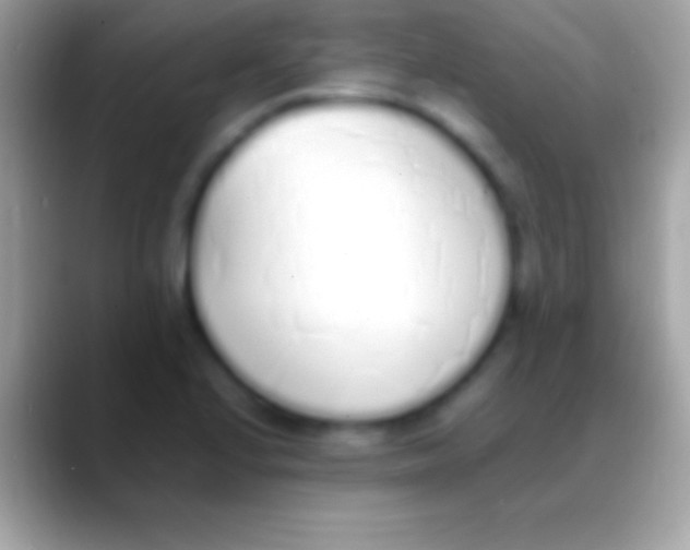 X0000088151224200706041349