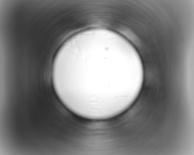 X0000088151228200706041349