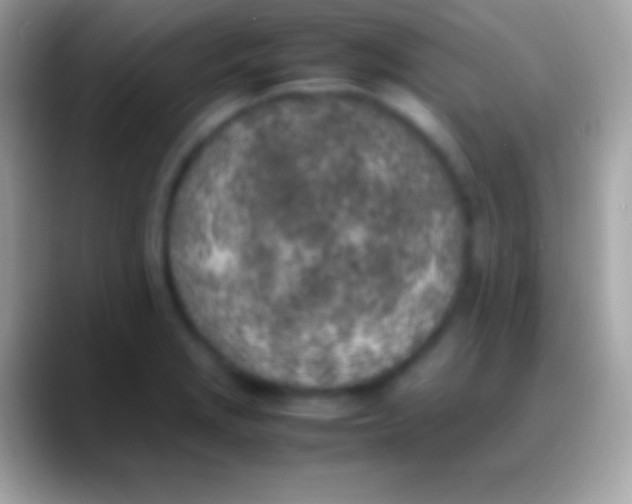 X0000088151229200706041349