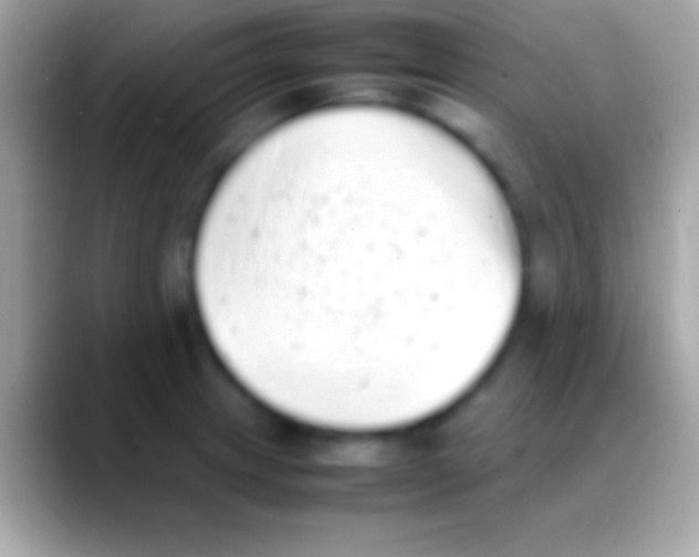 X0000088151233200706041349