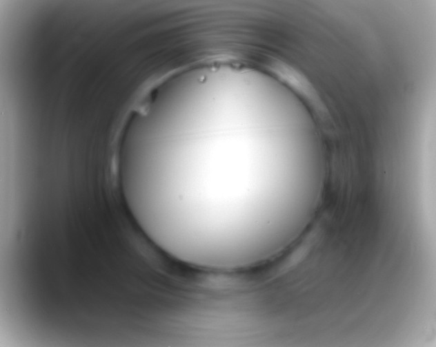 X0000088151234200706041349