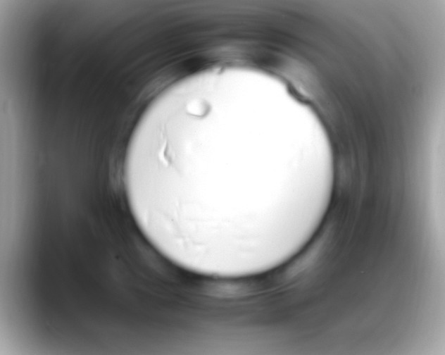 X0000088151241200706041349