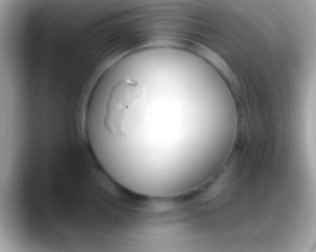 X0000088151242200706041349