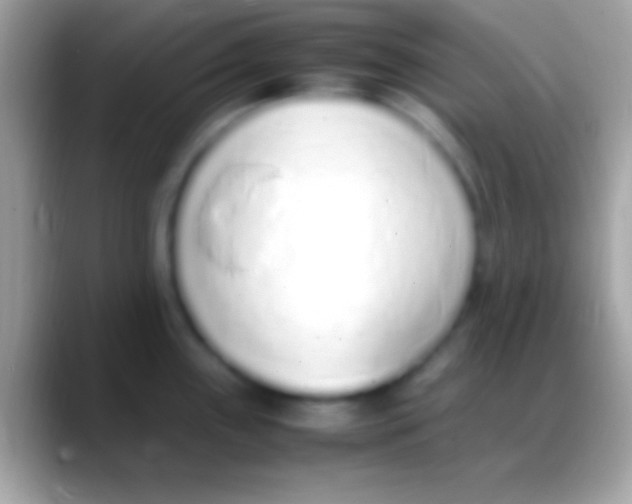 X0000088151243200706041349