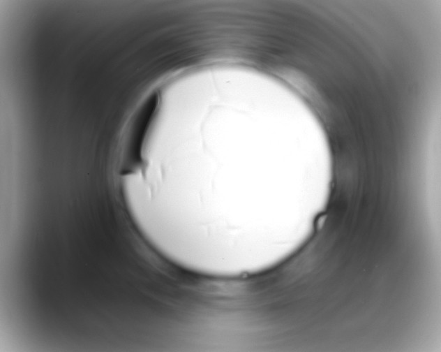 X0000088151244200706041349