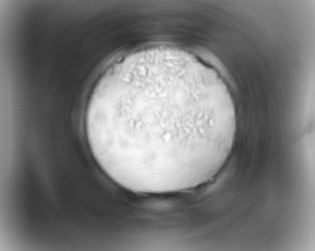 X0000088151245200706041349