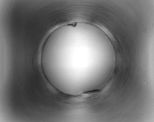 X0000088151246200706041349