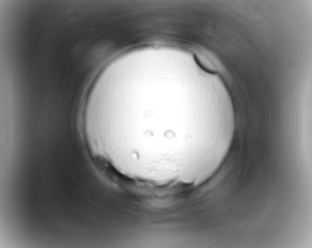 X0000088151247200706041349